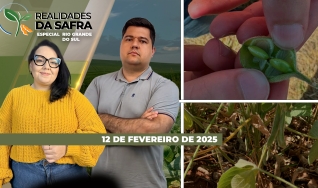 Realidades da Safra - Notícias Agrícolas