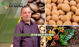 Realidades da Safra - Notícias Agrícolas
