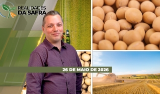Realidades da Safra - Notícias Agrícolas