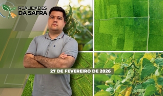 Realidades da Safra - Notícias Agrícolas