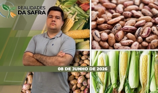 Realidades da Safra - Notícias Agrícolas