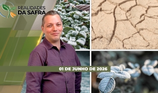 Realidades da Safra - Notícias Agrícolas