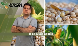 Realidades da Safra - Notícias Agrícolas