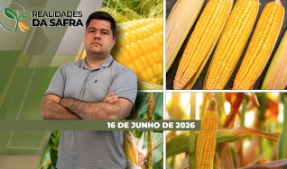Realidades da Safra - Notícias Agrícolas