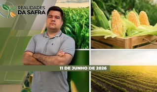 Realidades da Safra Notícias Agrícolas