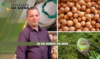 Realidades da Safra - Notícias Agrícolas