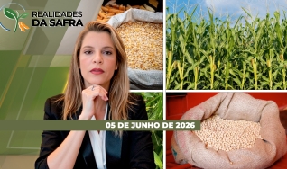 Realidades da Safra - Notícias Agrícolas