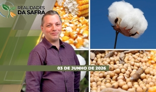 Realidades da Safra - Notícias Agrícolas