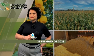 Realidades da Safra - Notícias Agrícolas