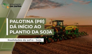 Rose Delai - produtora rural em Palotina (PR)