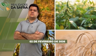 Realidades da Safra - Notícias Agrícolas