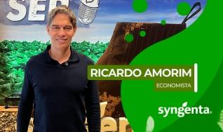 Ricardo Amorim