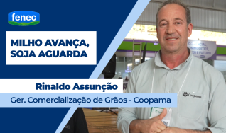 Rinaldo Assunção