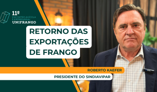 Roberto Kaefer - presidente do Sindiavipar