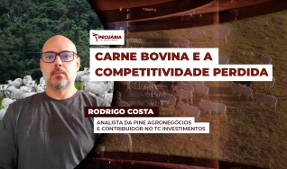 Rodrigo Costa - Analista da PINE Agronegócios e Contribuidor no TC Investimentos