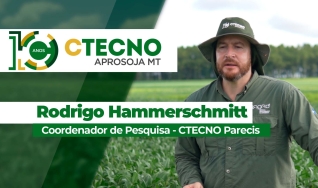 Rodrigo Hammerschmitt