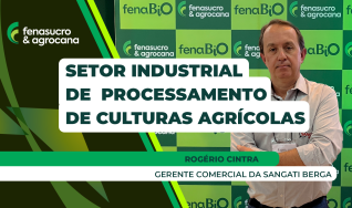Rogério Cintra - Gerente Comercial da Sangati Berga