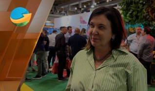 Sandra Caires - Consultora da Organis