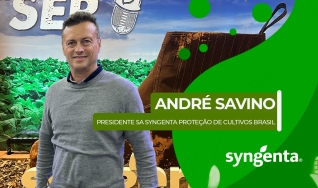 André Savino