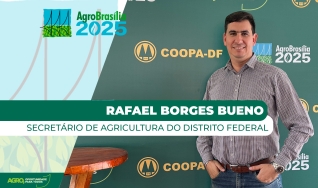 Rafael Borges Bueno, Secretário de Agricultura do Distrito Federal