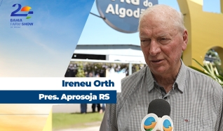 Ireneu Orth