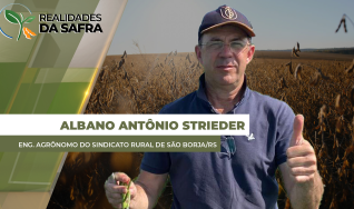Albano Antônio Strieder - Engenheiro Agrônomo do Sindicato Rural de São Borja/RS