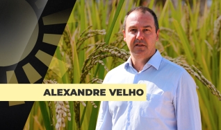 Alexandre Velho - Presidente da Federarroz