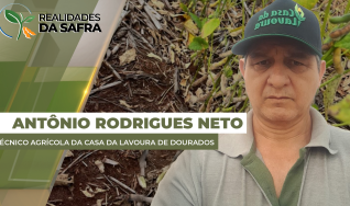 Antônio Rodrigues Neto - Técnico Agrícola da Casa da Lavoura de Dourados