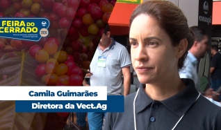 Camila Guimarães