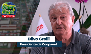 Dilvo Grolli