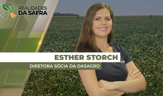 Esther Storch - Diretora Sócia da DASAGRO