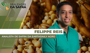 Felippe Reis - Analista de Safra da EarthDaily Agro