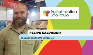 Felipe Salvador