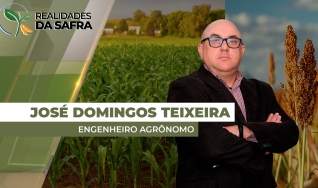 José Domingos Teixeira - Engenheiro agrônomo - Gerente Unidade Agrícola, Barra do Garças/MT