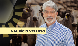 Maurício Velloso - Presidente Assocon