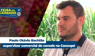 Paulo Otávio Bachião