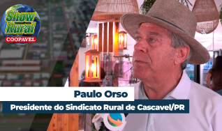 Paulo Orso