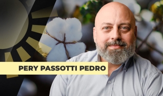 Pery Passotti Pedro - Consultor Independente