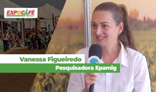 Vanessa Figueiredo