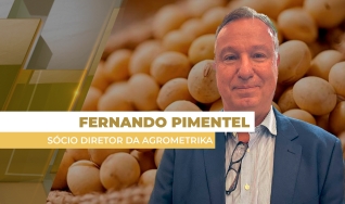 Fernando Pimentel - Sócio Diretor da Agrometrika