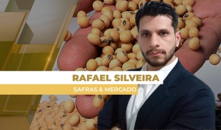 Rafael Silveira - Analista de Soja na Safras & Mercado