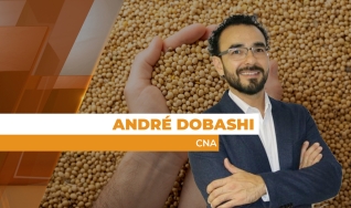 André Dobashi - Presidente da Comissão de Cereais, Fibras e Oleaginosas da CNA