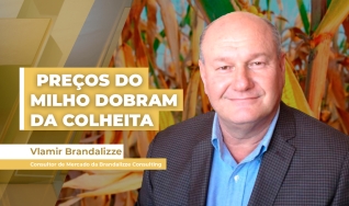 Vlamir Brandalizze - Consultor de Mercado da Brandalizze Consulting