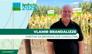 Vlamir Brandalizze