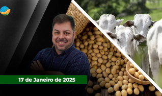 Fechamento de Mercado - Com Aleksander Horta