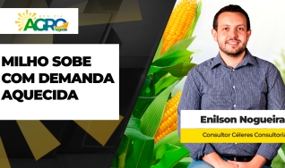 Enilson Nogueira - Consultor Céleres Consultoria