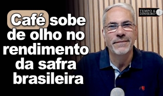 Tempo & Dinheiro