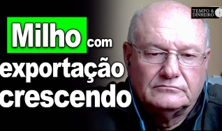 Tempo & Dinheiro