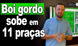 Tempo & Dinheiro