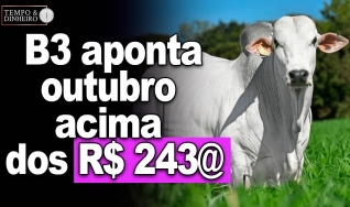 Tempo & Dinheiro